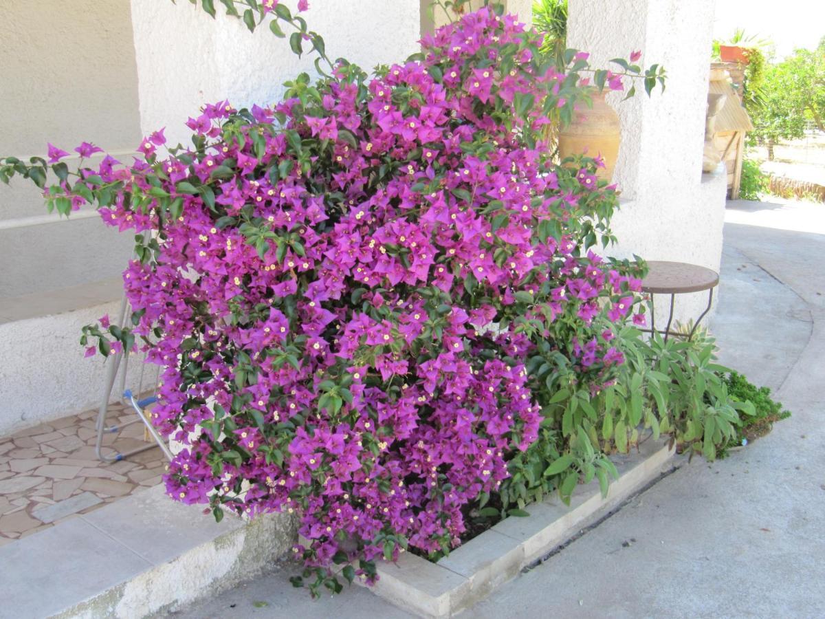 B&B I Limoni Sorso Exterior foto